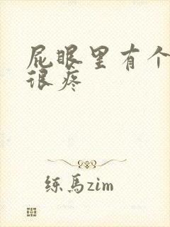 屁眼里有个肉球很疼封面