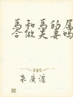 马和马的属相适合做夫妻吗