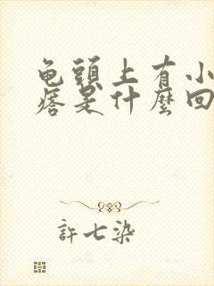 龟头上有小红疙瘩是什么回事封面