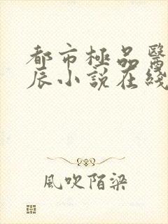 都市极品医神叶辰小说在线阅读