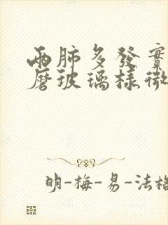 两肺多发实性及磨玻璃样微小结节封面