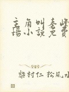 主角叫秦峰的官场小说免费阅读