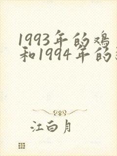 1993年的鸡和1994年的狗相配吗