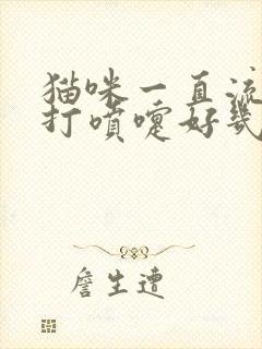 猫咪一直流鼻涕打喷嚏好几个月了