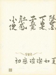 小肚子下坠有大便感觉是怎么回事封面