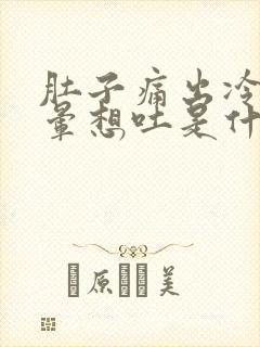 肚子痛出冷汗头晕想吐是什么原因