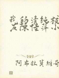 我的清纯校花女友陈佳萍小说在线阅