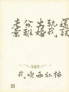 老公出轨还不愿意离婚我该怎么办封面