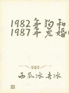 1982年狗和1987年兔婚配封面