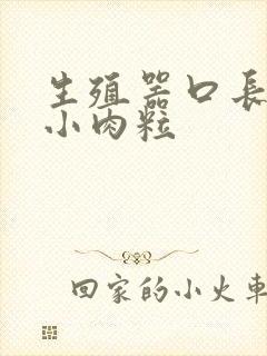 生殖器口长了个小肉粒