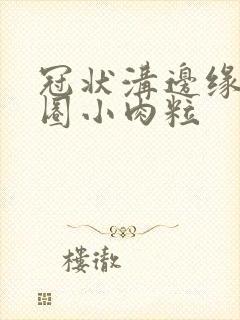 冠状沟边缘有一圈小肉粒