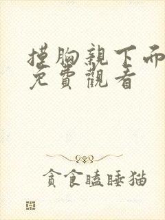 摸胸亲下面在线免费观看