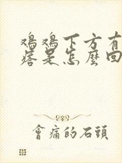 鸡鸡下方有小疙瘩是怎么回事