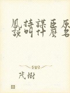凤持谋臣原著小说叫什么名字