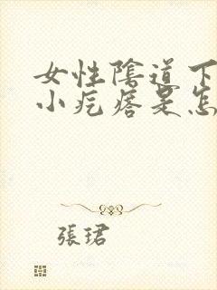 女性阴道下面长小疙瘩是怎么回事?封面