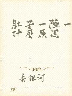 肚子一阵一阵痛什么原因