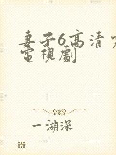 妻子6高清完整电视剧