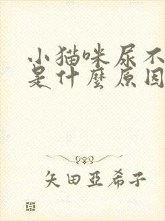 小猫咪尿不出尿是什么原因