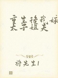 重生后我嫁给了太子姐夫