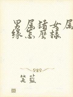 男属猪女属龙姻缘怎么样