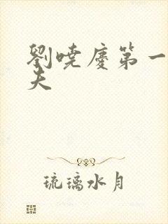 刘哓庆第一任丈夫封面