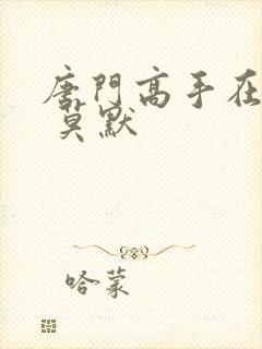 唐门高手在异世 莫默