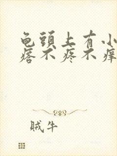 龟头上有小红疙瘩不疼不痒怎么回事