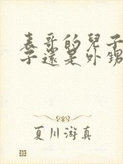 表哥的儿子是侄子还是外甥封面