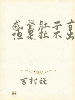 感觉肚子有大便但是拉不出来封面