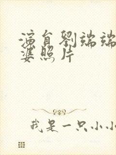 演员刘端端的老婆照片