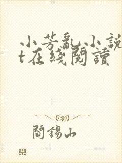 小芳乱小说txt在线阅读