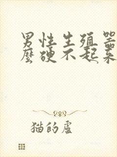 男性生殖器为什么硬不起来