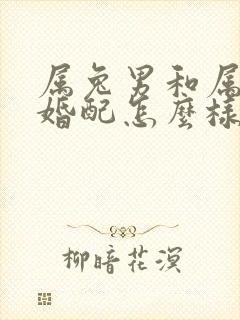 属兔男和属羊女婚配怎么样封面