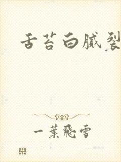 舌苔白腻裂纹封面