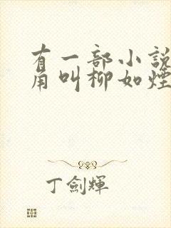 有一部小说女主角叫柳如烟