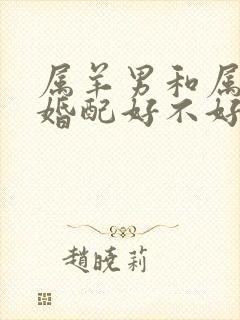 属羊男和属兔女婚配好不好封面