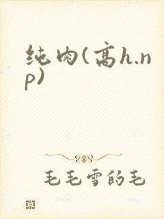 纯肉(高h.np)