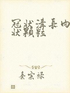 冠状沟长肉疙瘩状颗粒