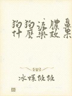 狗狗流脓鼻涕用什么药效果好封面