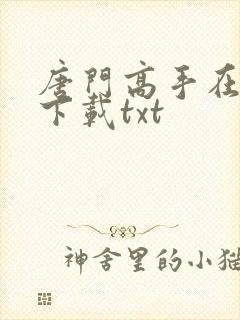 唐门高手在异世下载txt封面