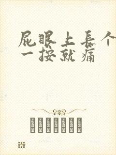 屁眼上长个了包一按就痛封面