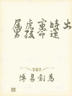 属虎寅时出生的男孩命运