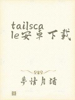 tailscale安卓下载