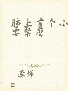 肺上有个小结节要紧么