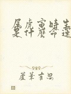 属虎寅时生男孩是什么命运