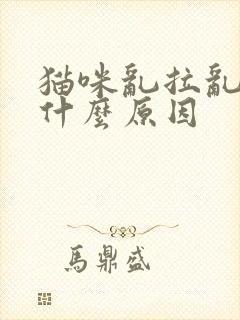 猫咪乱拉乱尿是什么原因