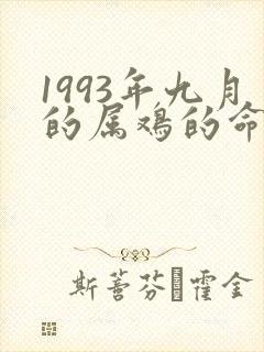 1993年九月的属鸡的命运