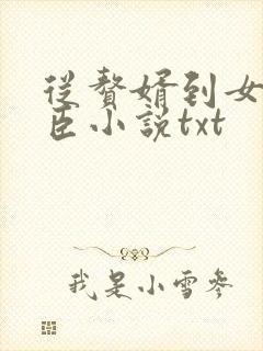 从赘婿到女帝宠臣小说txt