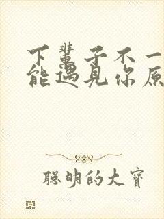 下辈子不一定还能遇见你原唱完整