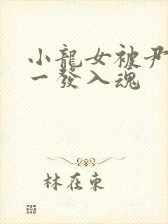 小龙女被尹志平一发入魂封面